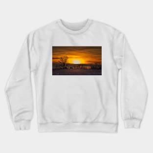 Clydesdale Horses Grazing in an autumn Sunset Crewneck Sweatshirt